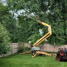 Professional  Tree Services in Dasher, GA